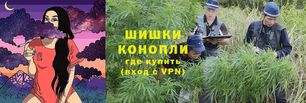 стаф Белоозёрский