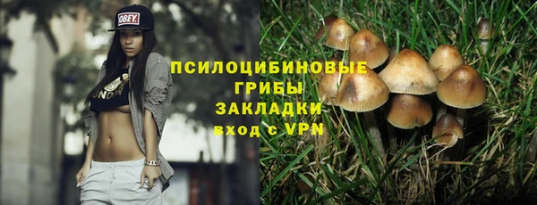 метамфетамин Белокуриха